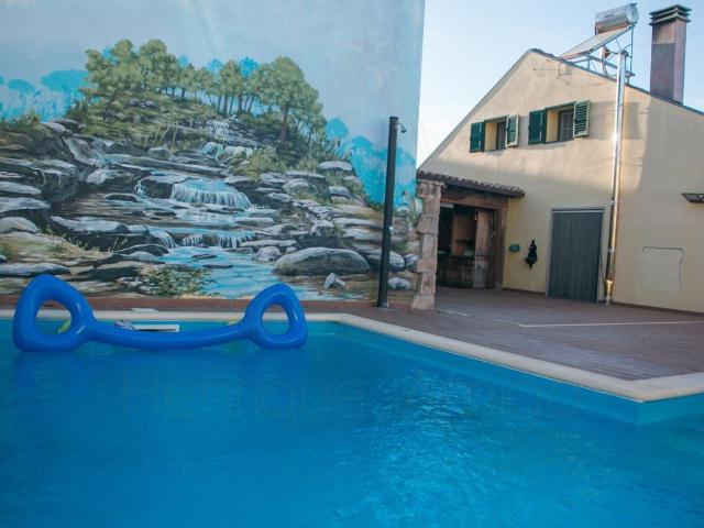 Exclusivo | Moradia Em Banda Com Piscina Souto, Sabugal 255m² Souto e Tabaçô