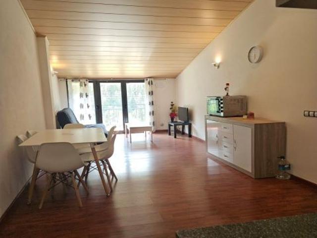 Exclusivo piso de 1 habitación con vistas a la montaña en Bordes dEnvalira