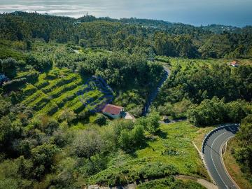 EXCLUSIVO! Terreno com 4.750m² para construir e cultivar – Camacha