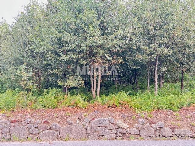 Exclusivo Terreno com 8.050 m² e Potencial Construtivo | Lobão – Santa Maria da Feira