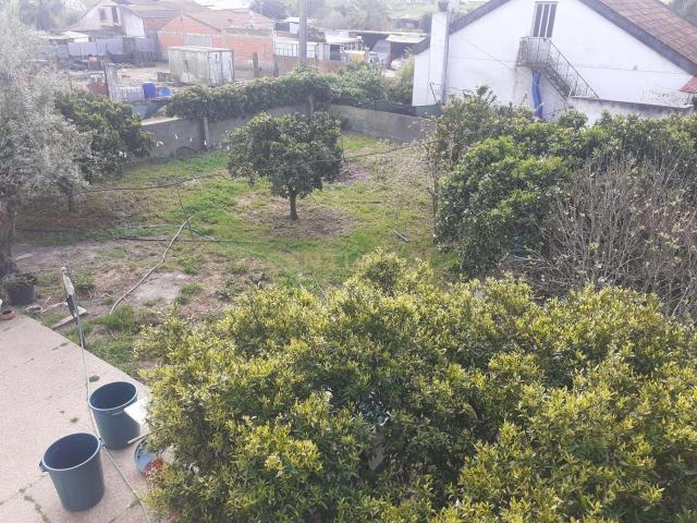 Exclusivo | Terreno com Benfeitorias em Santo Isidro de Pegões