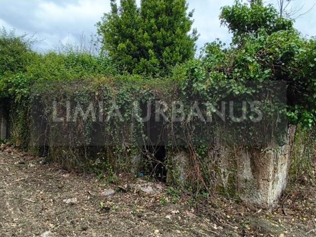Exclusivo | Terreno com Ruína para Restauro | Gandra