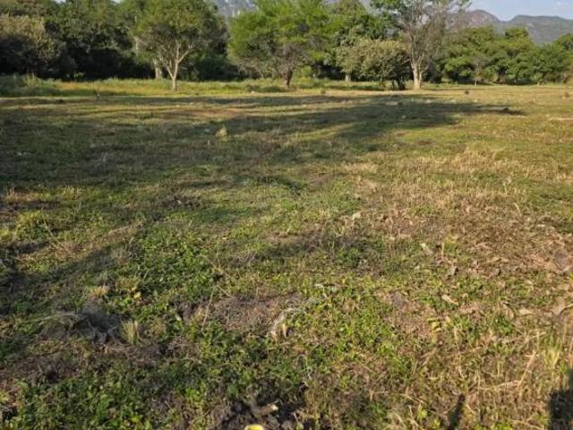 Exclusivos terrenos dentro de la Exhacienda de Oacalco
