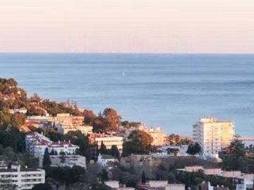 Palmeral de las Sorpresas, Casco Antiguo de Málaga, Málaga, Málaga, Andalucía, Andalucía