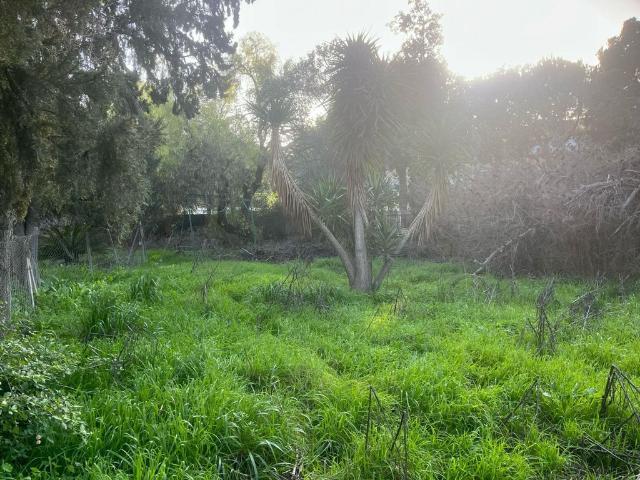 Exclusiva casa en venta Sevilla, España