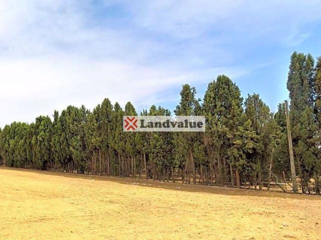 Exclusiva casa de campo en venta Alcalá de Henares, España