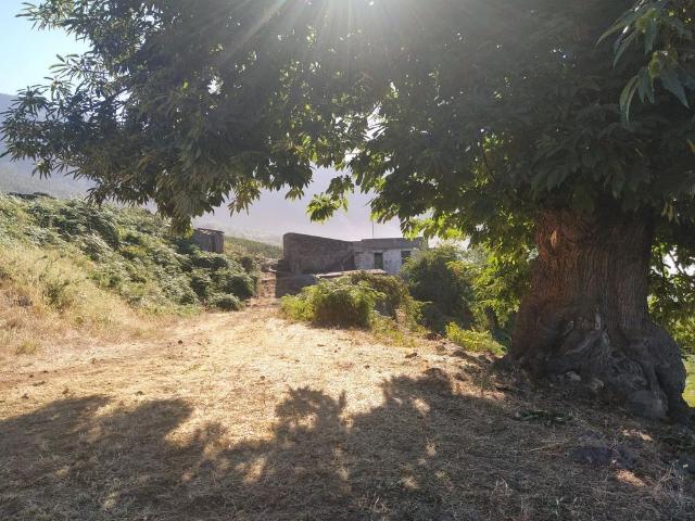 Exclusiva casa de campo en venta Los Realejos, España