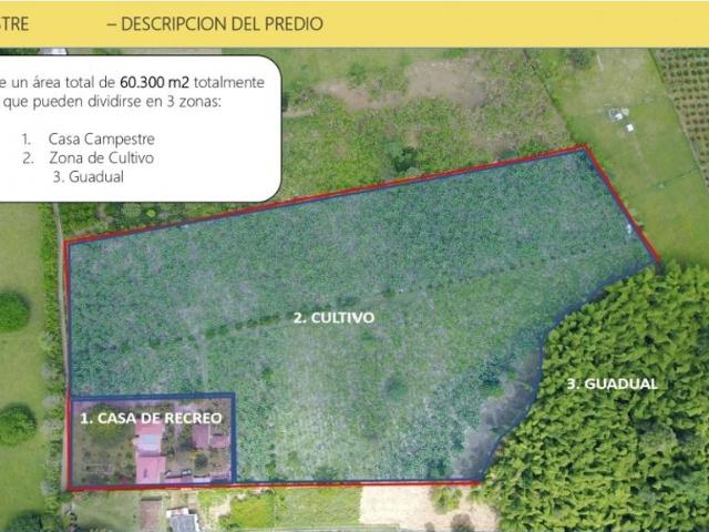 Exclusiva casa de campo en venta Montenegro, Colombia