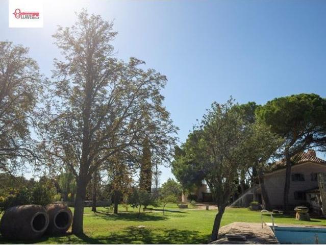 Exclusiva Casa de Piedra con 7.000 mt Terreno Arbolado y Piscina en Tierra de Campos, Palencia
