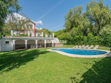 Palmeral de las Sorpresas, Casco Antiguo de Málaga, Málaga, Málaga, Andalucía, Andalucía