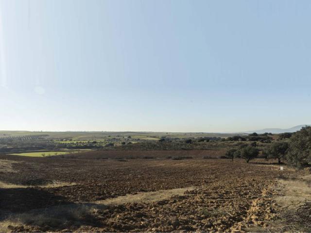 Exclusiva Finca recreo y explotacion