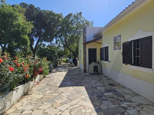 ? Exclusiva Propriedade Tradicional no Coração do Alentejo ? 283m² Santiago do Cacém, Santa Cruz e São Bartolomeu da Serra