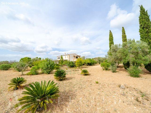 Exclusiva villa con piscina en San Joan