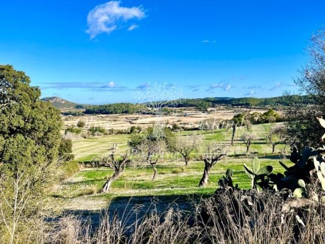Exclusiva Villa / Chalet de 365 m2 en venta en Sineu, España