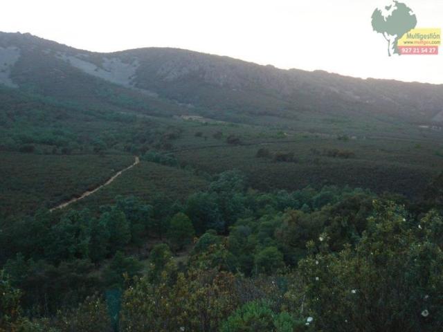Exclusiva Villa / Chalet de 9000000 m2 en venta en Guadalupe, España