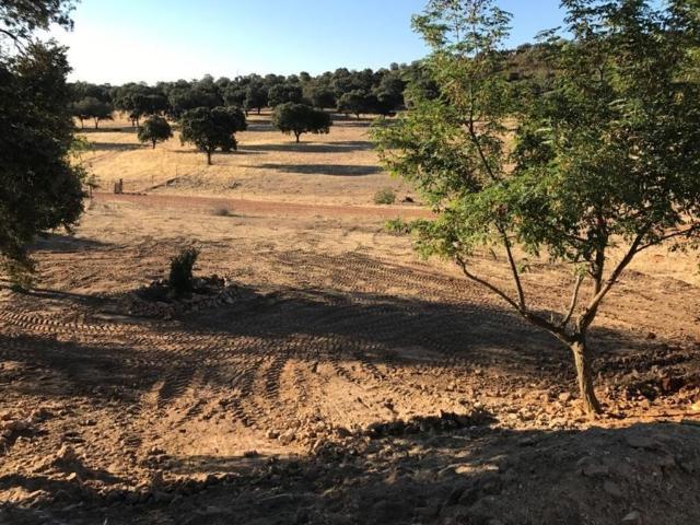 Exclusiva Villa / Chalet en venta Almodóvar del Campo, España