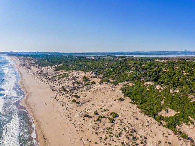 Exclusiva Villa / Chalet en venta Guardamar del Segura, Comunidad Valenciana
