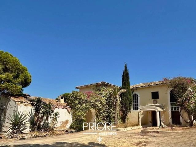 Exclusiva Villa / Chalet en venta Palma de Mallorca, España