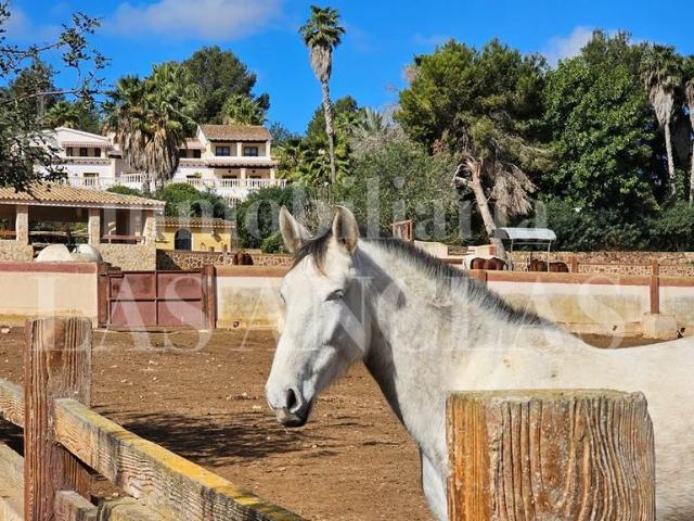Exclusiva Villa / Chalet en venta Sant Rafel, Baleares