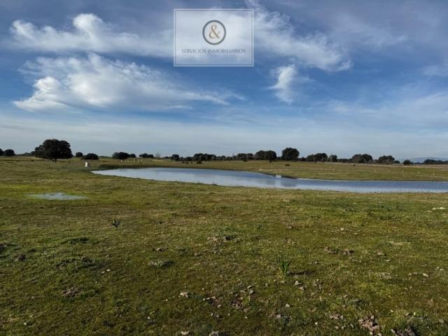 Exclusiva Villa en venta La Calzada de Oropesa, Castilla La Mancha