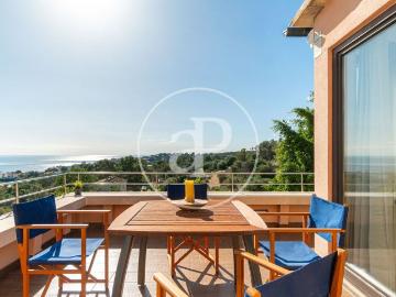 Gènova, Mallorca, Islas Baleares - Jardín