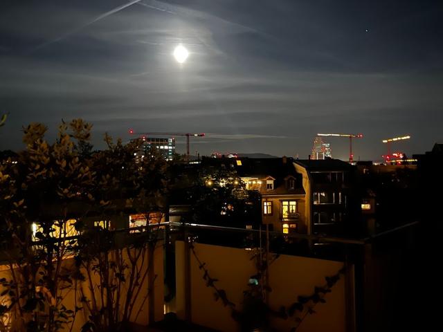 Exclusive 3.5 room maisonette apartment at Kannenfeld Park, Basel Amsterdam Apartments for Rent