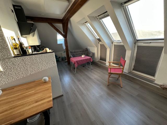 Exclusive 1 room attic apartment with fitness and office equipment, Braunschweig Amsterdam Apartments for Rent