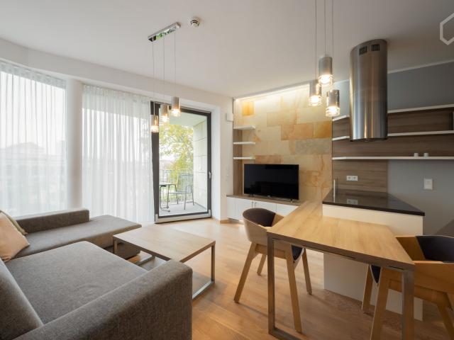 Exclusive 2 room apartment in the middle of Dresden with balcony and wellness tub