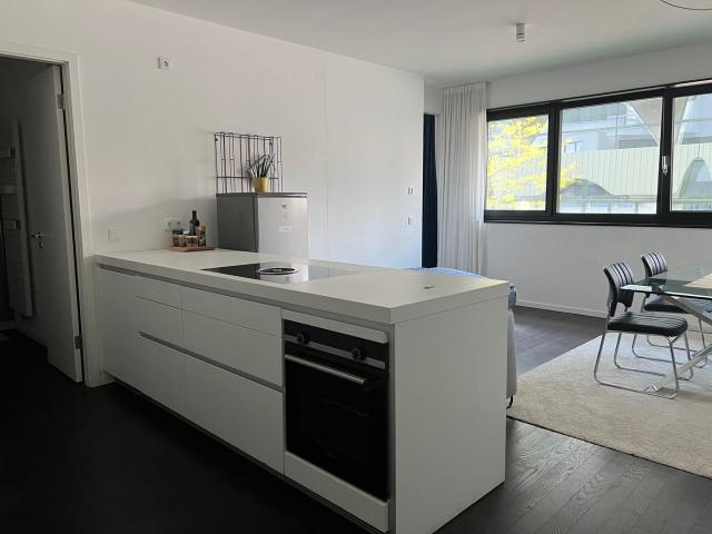 Exclusive 2 Room Designer Apartment in Wave Berlin – Fully Furnished, with Parking & Rooftop Access, Berlin Amsterdam Apartments for Rent