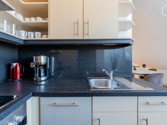 Exclusive 2 room top floor apartment in Prenzlauer Berg Berlin, Berlin Amsterdam Apartments for Rent