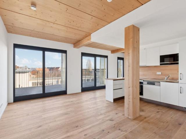Exclusive 4 Room Penthouse with Roof Terrace and Balconies