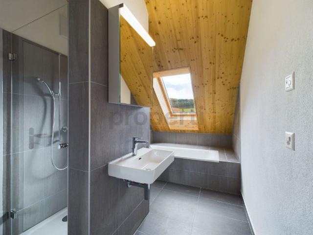 Exclusive 6.5 room penthouse apartment with roof terrace in Neftenbach