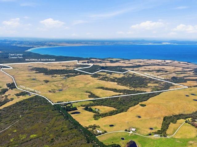 Exclusive Coastal Landholding of Scale 368 HA|909 acres