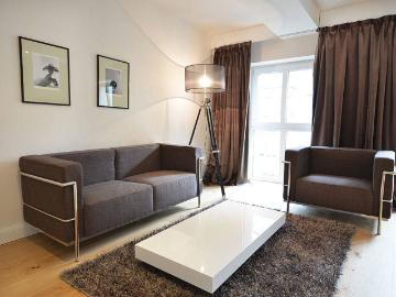 Exclusive and fully furnished 1 bedroom apartment in Frankfurt city center near Iron Footbridge