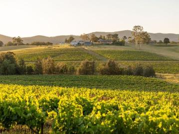 Exclusive Estate: one of the most coveted enclaves in the Hunter Valley