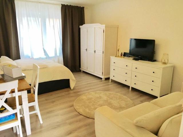 Exclusive Fully Furnished City Apartment in Prime Location of Kiel, Kiel Amsterdam Apartments for Rent