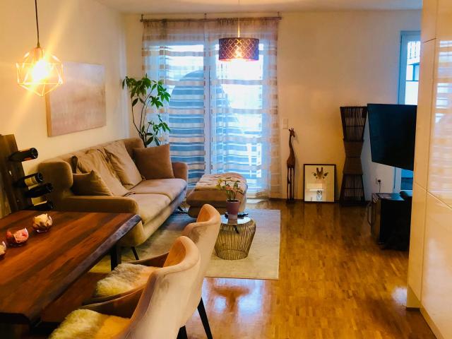 Exclusive Fully Furnished 2.5 Room Apartment with Large Rooftop Terrace, Balcony & Underground Parking in Mainz Neustadt