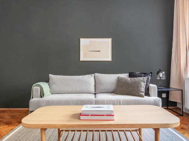 Exclusive Kohlmarkt 1 BR w/ Elevator, walk to Metro U1, U3, Vienna Amsterdam Apartments for Rent