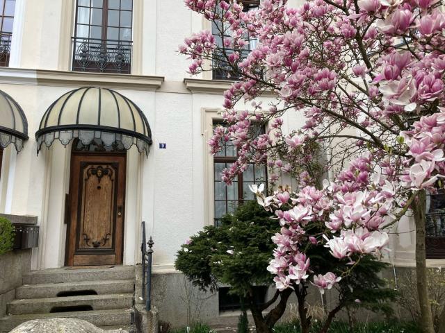 Exclusive Heritage Maisonette with Loggia at Am Staden – Quiet & Prime Location