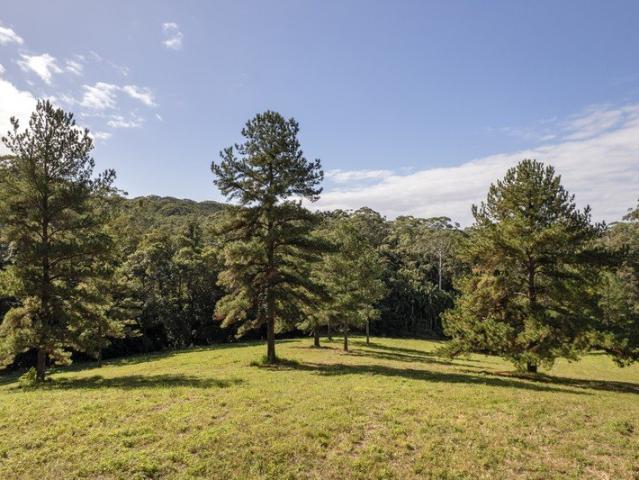 EXCLUSIVE OPPORTUNITY BUILD YOUR DREAM RETREAT IN TINBEERWAH