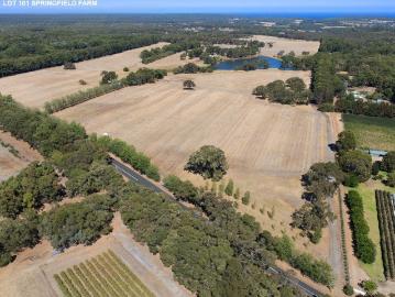 EXCLUSIVE LEVEL ESTATE WITH LAKE & VINEYARD VISTAS