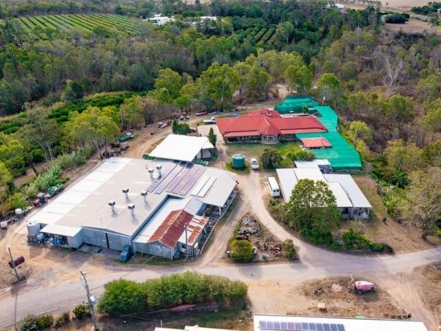 EXCLUSIVE: Mareeba's Premier Citrus Agribusiness 221 Acres, 19,000 Trees, 30%+ Proven ROI Turnkey & Fully Accredited