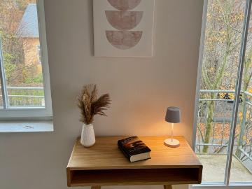 Exclusive temporary living – newly renovated and furnished 2 room apartment with two balconies & underground parking in Dresden Blasewitz, Dresden Amsterdam Apartments for Rent