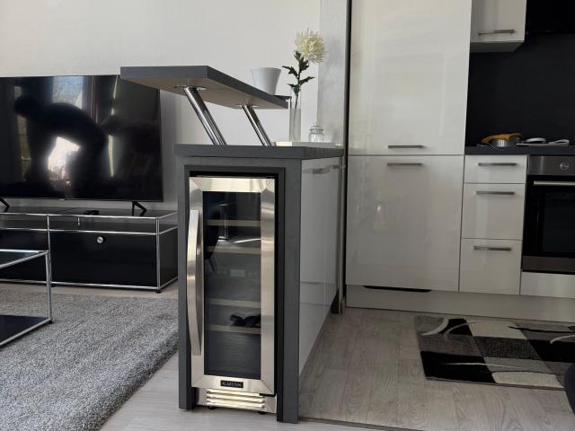 Exclusively Furnished, Light Flooded Gallery Maisonette with Southwest Balcony in Central Braunschweig, Braunschweig Amsterdam Apartments for Rent