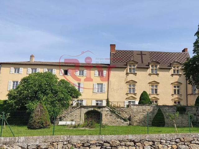 EXCLUSIVITE APPARTEMENT CHATEAU DE CHONAS L'AMBALLAN