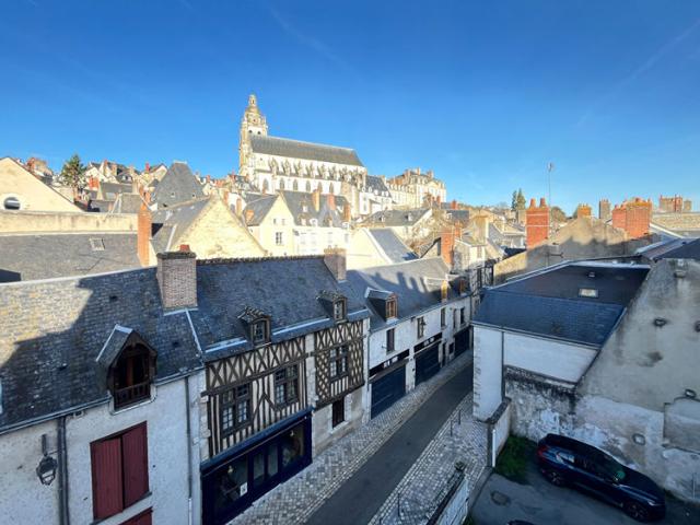 EXCLUSIVITÉ BLOIS HYPER CENTRE RARE