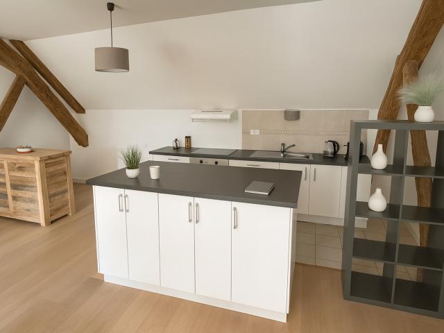 EXCLUSIVITE ERA ! Appartement 3 pièces de charme 104 m2 Beire le Châtel