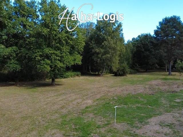 Exclusivité: Grande maison de 500 m2 sur 3 hectares de terrain, DPE en C !