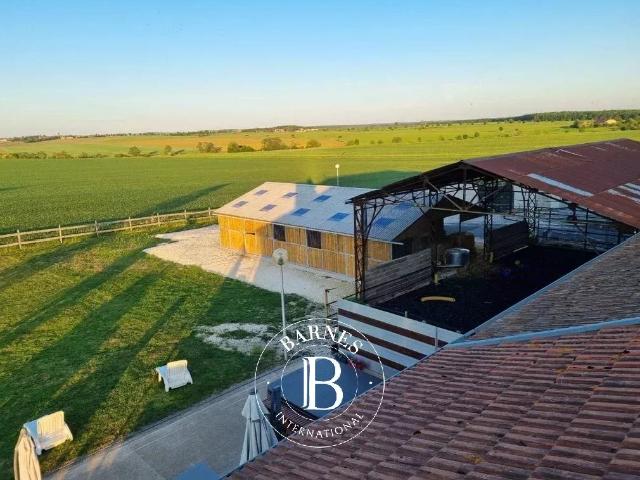 Exclusivité Haumont lès Lachaussée Domaine Equestre 225m² Lachaussée
