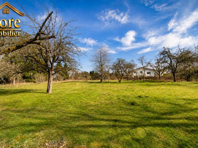 EXCLUSIVITE IMMEUBLE + GRAND TERRAIN CONSTRUCTIBLE